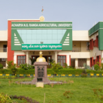 ANGRAU Recruitment 2025
